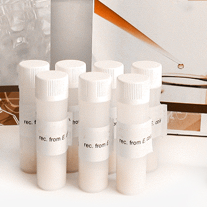 Esterase screening kit, bacterial, recombinant from E.Coli
