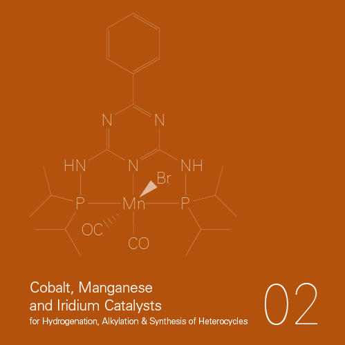 abcr Catalysts 02 Cobalt, Manganese and Iridium Catalysts Brochure