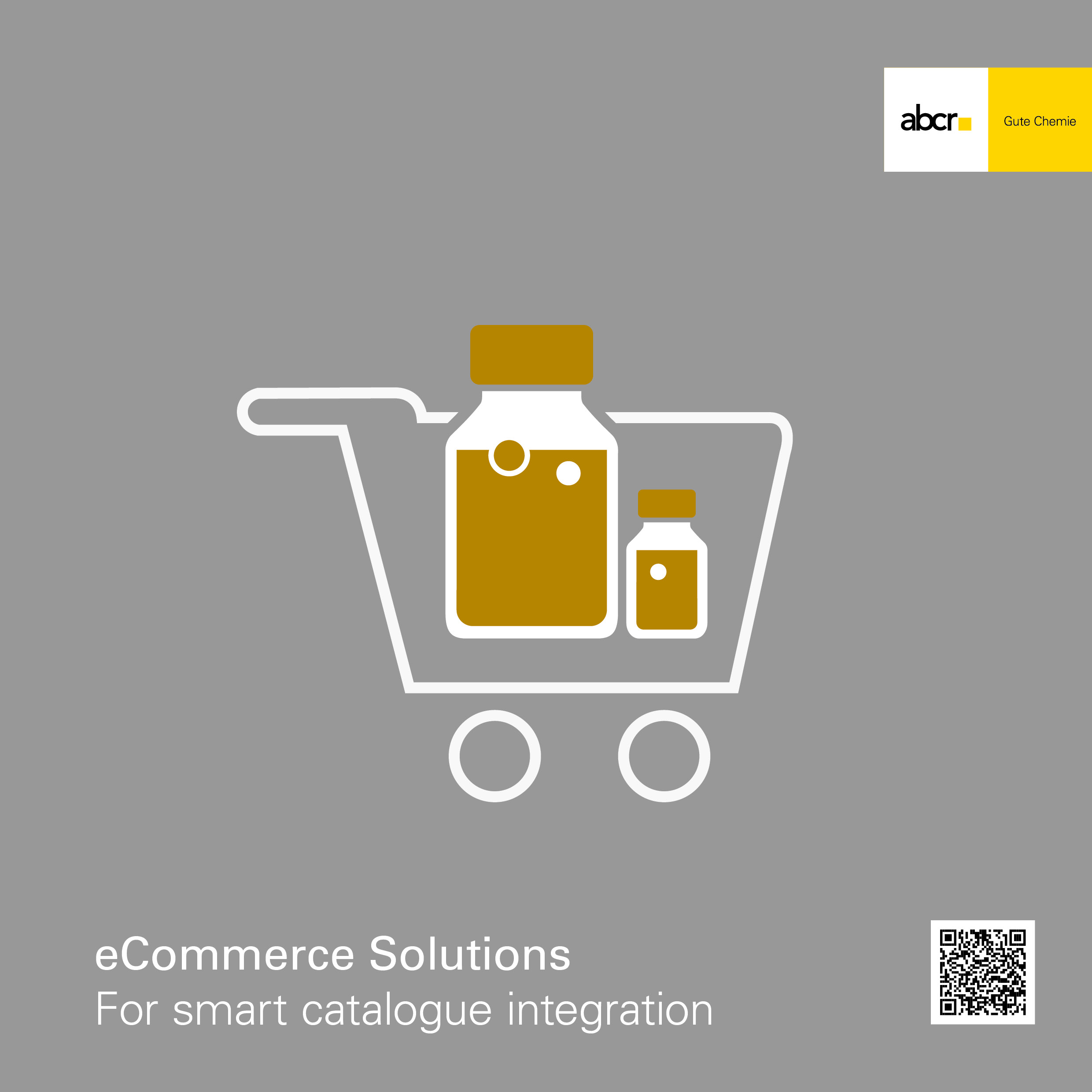 abcr eCommerce Solutions Flyer